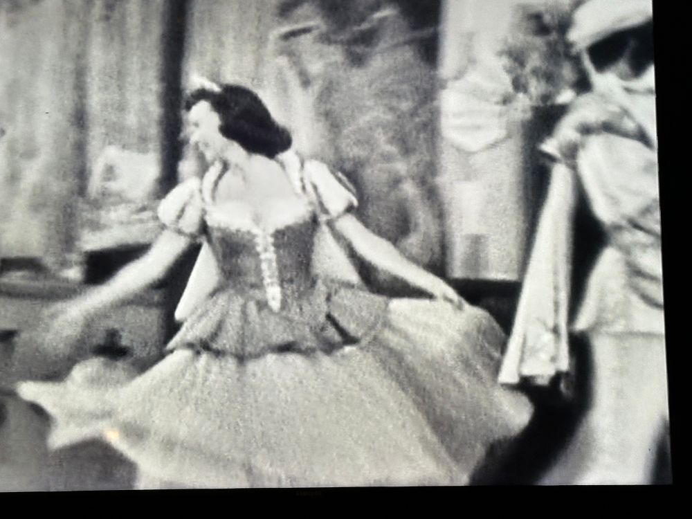 Snow White and Prince Charming 