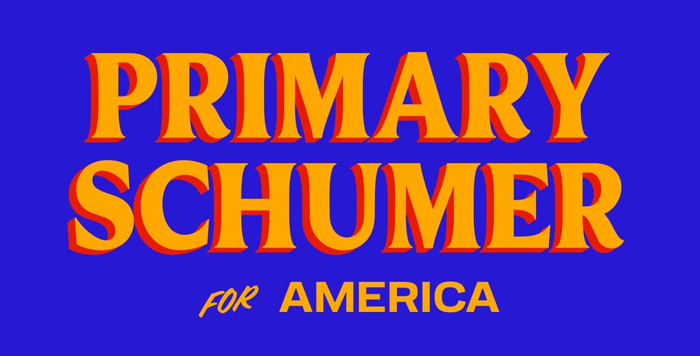 Graphic in the style of Zohran Mamdani's campaign logo that reads "Primaey Schumer for America"