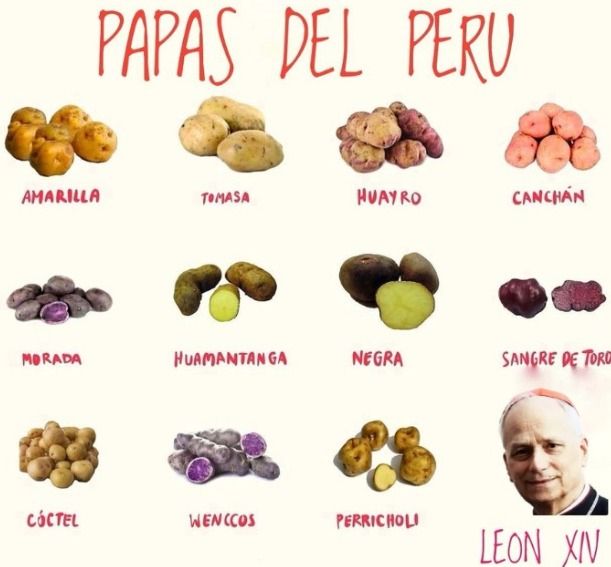 Con el titulo de "Papas del Perú" hay ilustrados 11 tipos distintos de papa ordenados en filas de 4, y el cuarto de la última fila es la cara del León 14