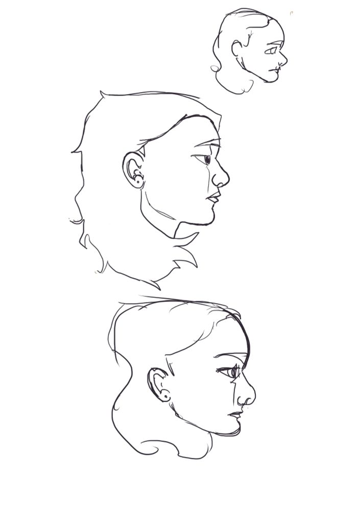 Digital sketches of a woman's face in profile, facing to the right. Black ink on a white canvas. 