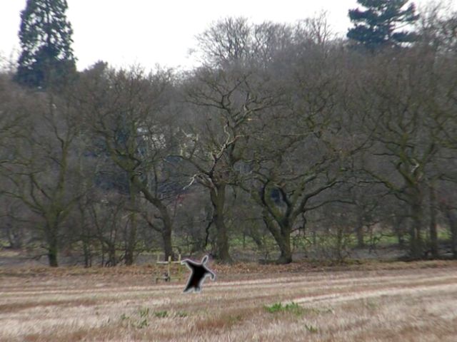 field with strange shadow figure