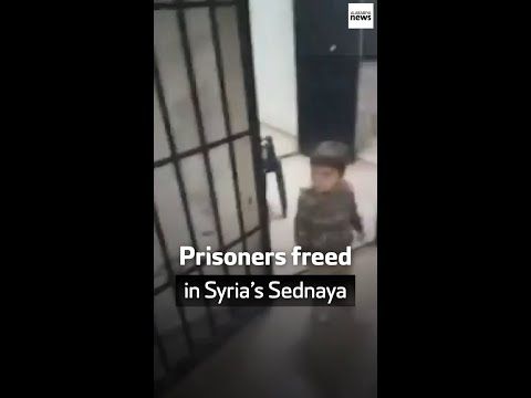 Prisoners freed in Syria’s Sednaya