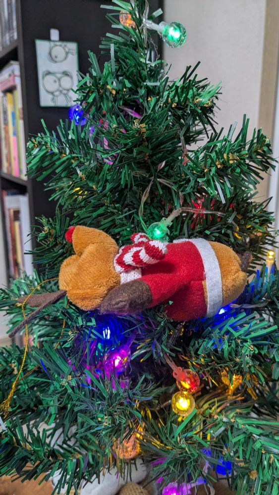 A small stuffed reindeer with a red nose, red coat, and a red and white striped scarf laying across the branches of a small Christmas tree