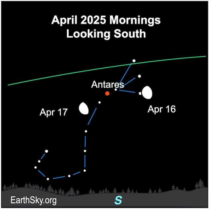 Constellation Scorpius with the shape of a letter "J". A red dot for the star Antares and 2 moons for April 16 and 17 are at the top of the constellation.