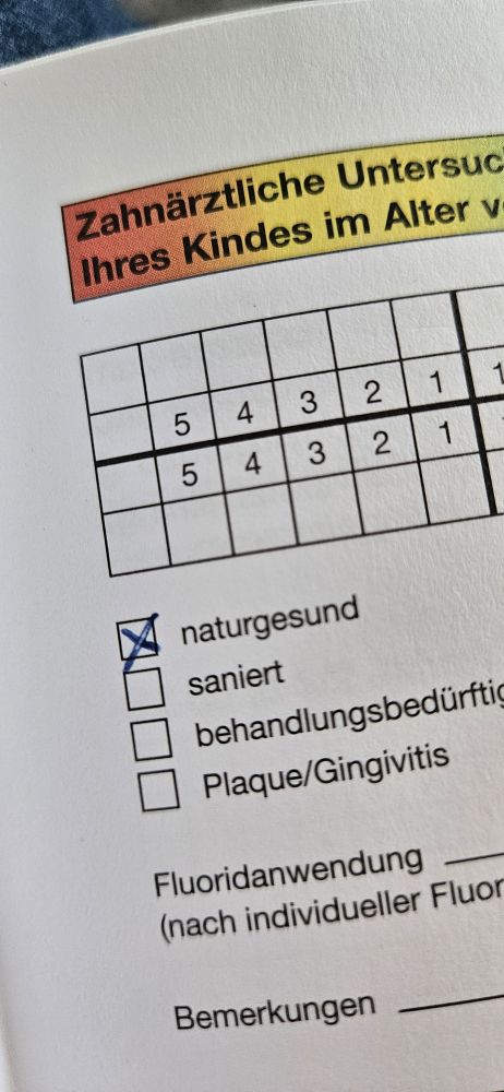 Foto eines Teils des Kinder Zahn Untersuchungshefts. Angekreuzt ist "naturgesund" 