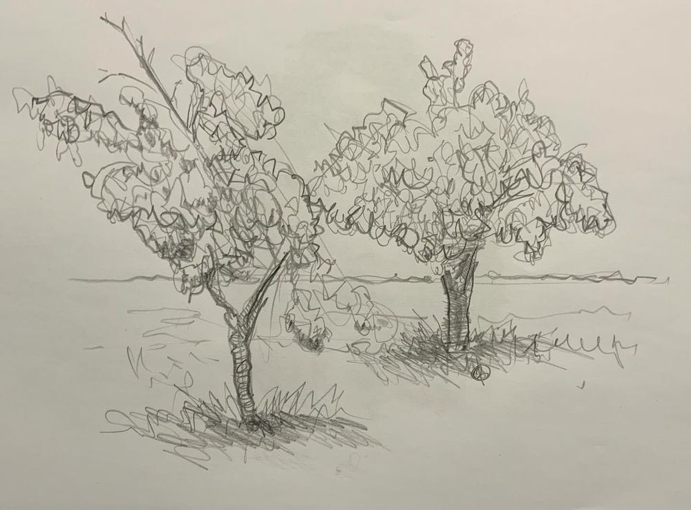 Dessin au crayon mine représentant deux arbres.