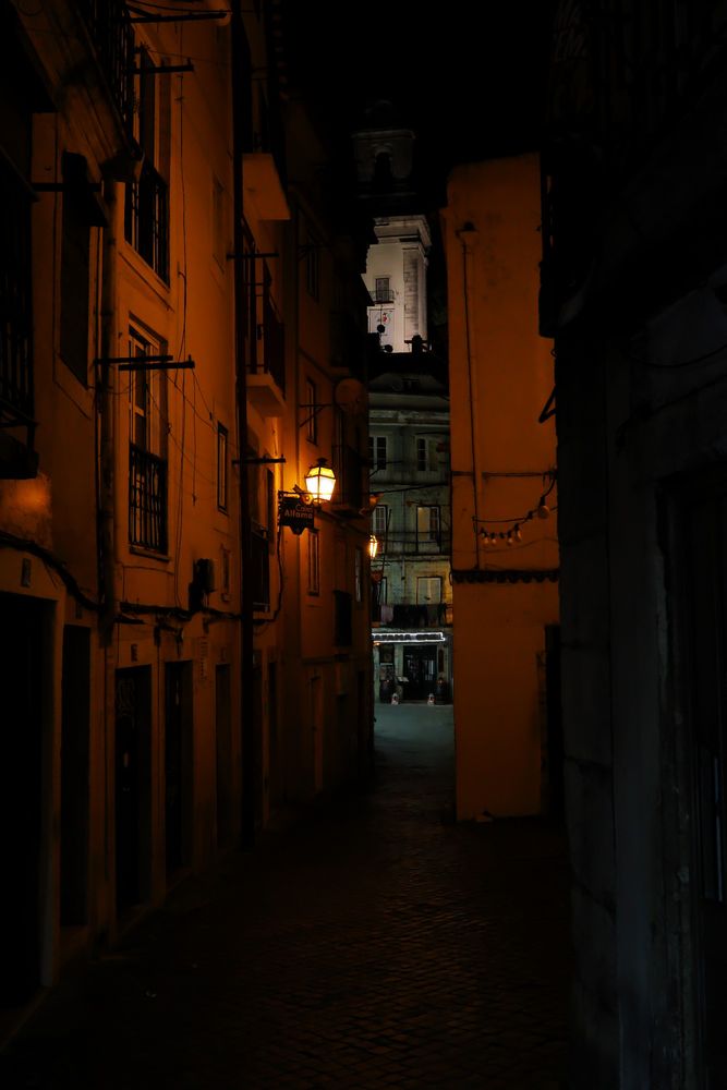 📷 Canon EOS R7
Lens | EF-S 24mm
☀️ | 1/100 | f/5.0 | ISO 6400