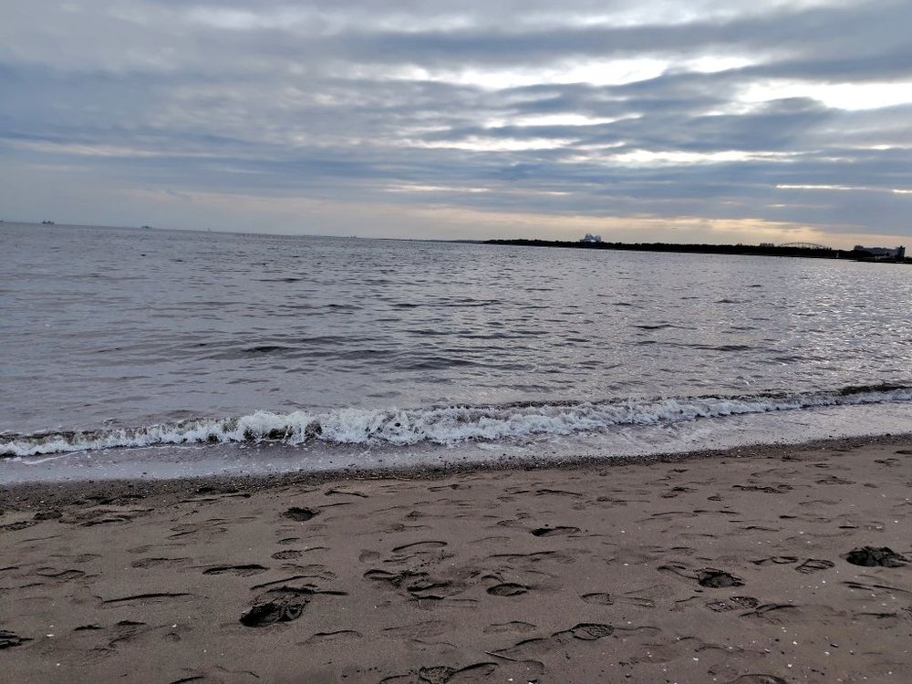 葛西海浜公園の浜