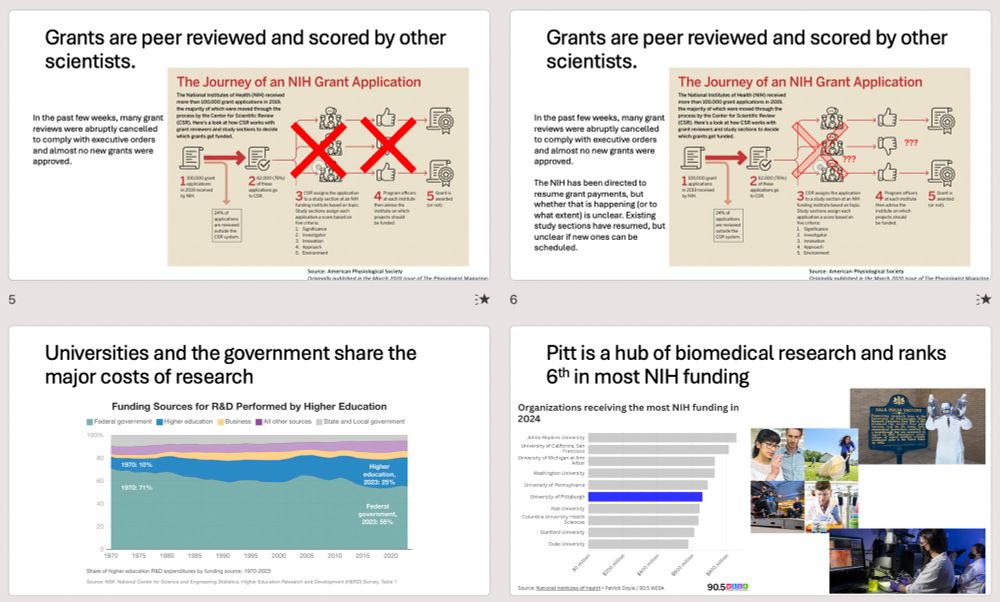 Slides 5/6: Grants are peer reviewed and scored by other scientists. In the past few weeks, many grant reviews were abruptly cancelled to comply with executive orders and almost no new grants were approved. The NIH has been directed to resume grant payments, but whether that is happening (or to what extent) is unclear. Existing study sections have resumed, but unclear if new ones can be scheduled. To the right, an infographic shows grant submission and review process with red Xs and/or question marks over affected steps

Slide 7: Unis and the gov't share the major costs of research. Graph shows percent of funding coming from different sources since 1970. Federal support is the highest % and has gone down over time. Uni support is second and has risen over time. 

Slide 8: Pitt is a hub of biomedical research and ranks 6th in most NIH funding. Graph shows funding levels of top 10 institutions. Stock photos of Pitt research including one of Jonas Salk. 