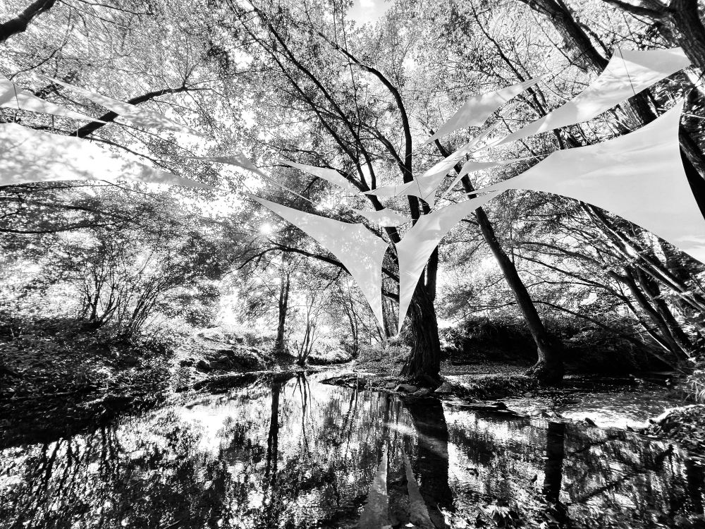 black & white photography of a small river, which diverst into two streams and is surrounded by big trees. Between the trees there are white sails suspended on ropes. an art installation. the photo is characterized by the interplay of light and shadows, reflected between sun, leaves, sails and flowing water.
