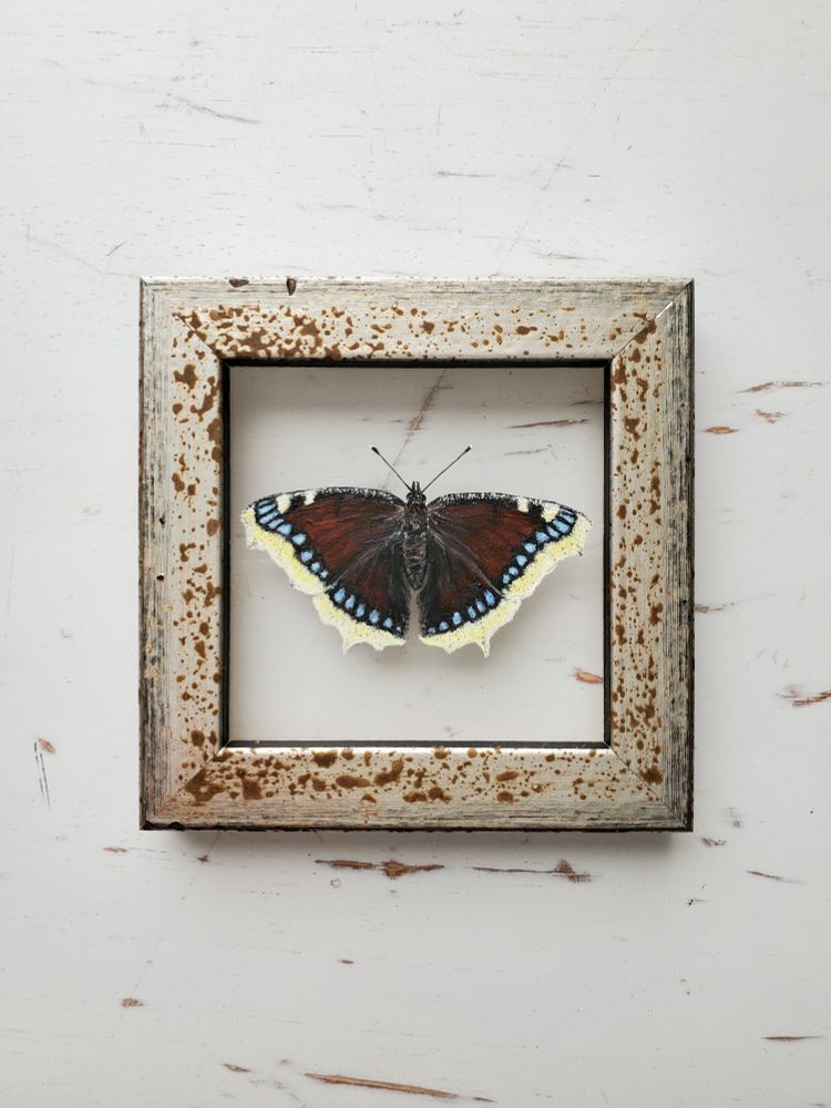 Realistic painting of a maroon/yellow/black/blue butterfly in a silver/brown frame, on a distressed white tabletop. There are hints of wood tone showing throughout the white surface, which you can also see behind the butterfly. This helps to indicate that the insect has been painted on a clear glass surface, and looks like it is floating in the middle of the frame.