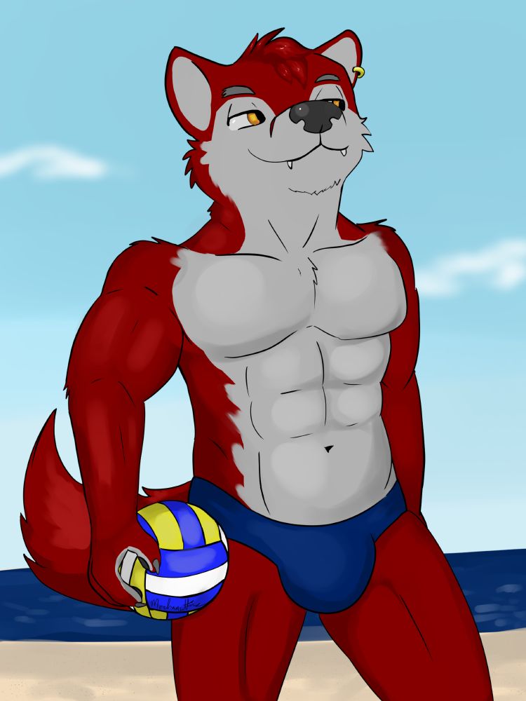 Zerrock, a red wolf, wearing a speedo and holding a volleyball on the beach.