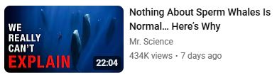 Nothing about Sperm Whales is normal... here's why

We really can't EXPLAIN