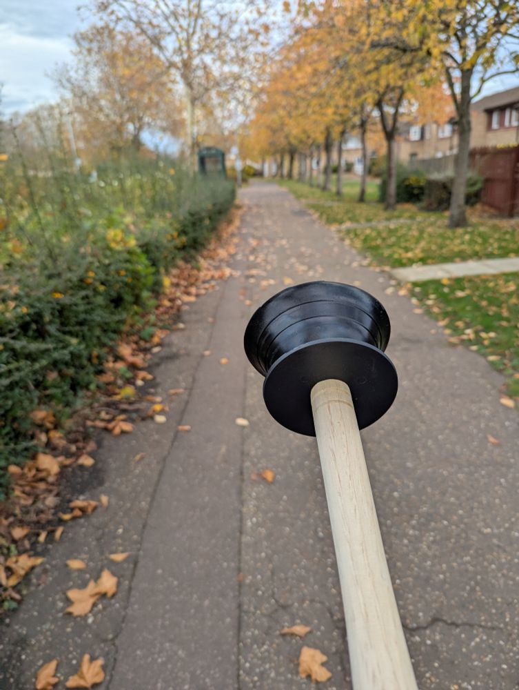 First person perspective photo of a toilet plunger being held off camera by the wooden shaft, rubber bell pointing away. The background is a path with some lovely autumnal trees