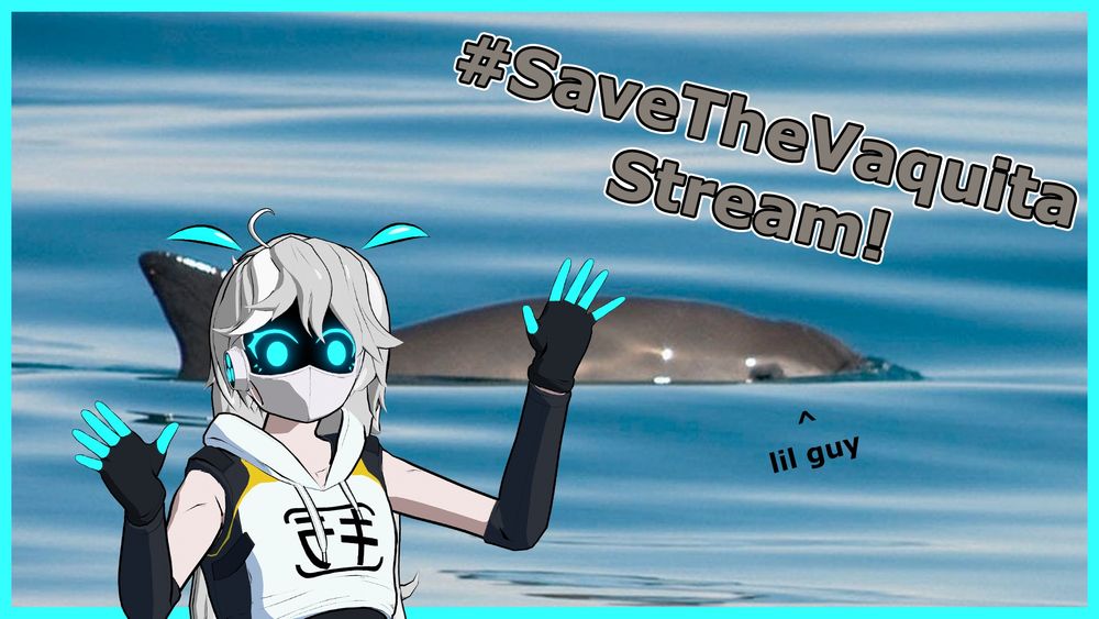 Kira posing surprisingly infront of a Vaquita with "#SaveTheVaquita Stream!" above them. "lil guy" points at the vaquita