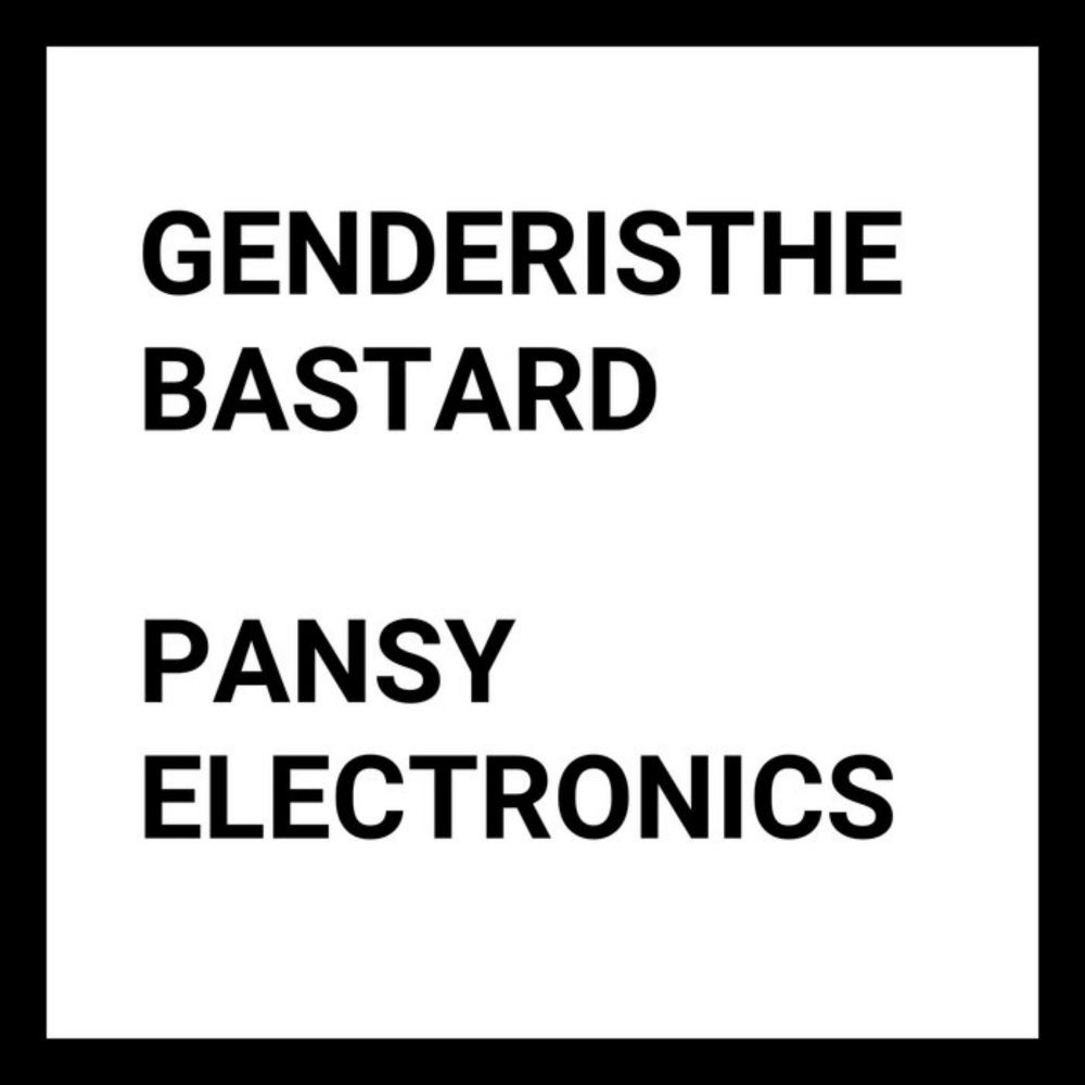 PANSY ELECTRONICS, by GENDERISTHEBASTARD