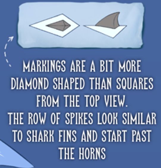 Markings are a bit more diamond shaped than squares from the top view.
The row of spikes look similar to shark fins and start past the horns.