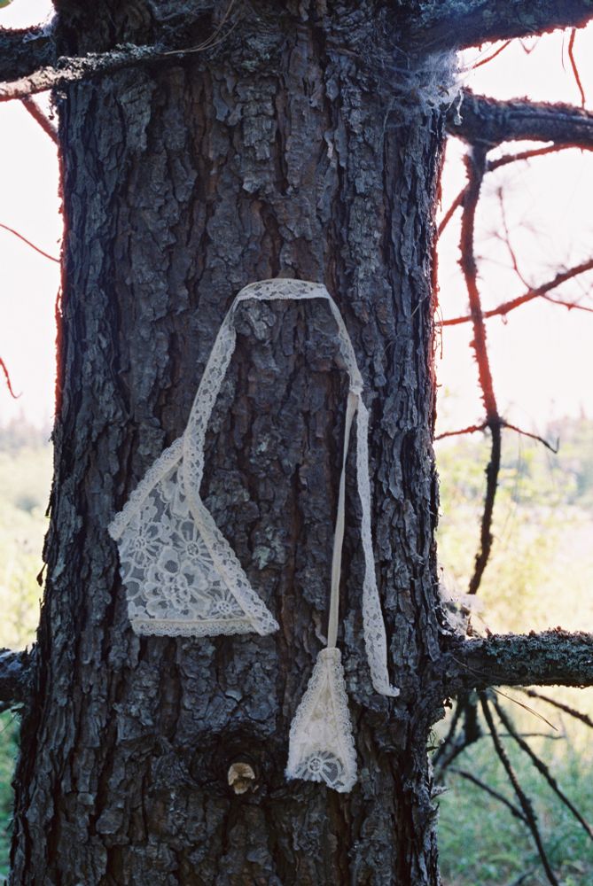 Beau’s white ripped thong is hung up on the tree trunk branches , where she was wrist bound for the duration of the scene.