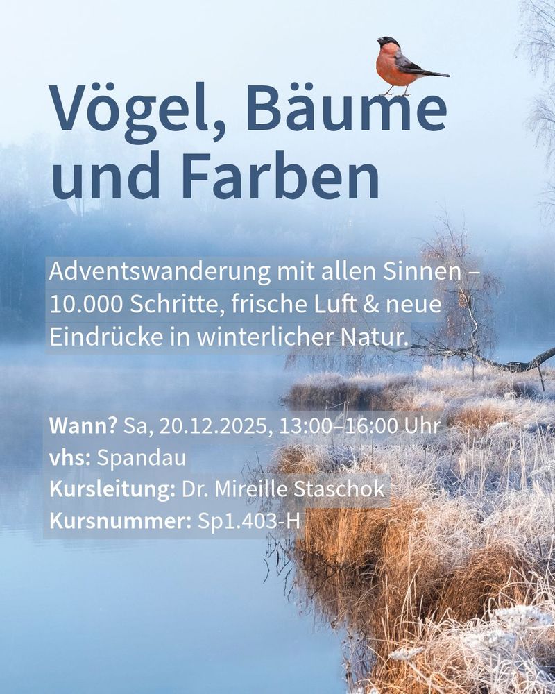 Werbung für eine Adventswanderung "Vögel, Bäume und Farben" in der Spandau vhs am 20.12.2025 mit Dr. Mireille Staschok.