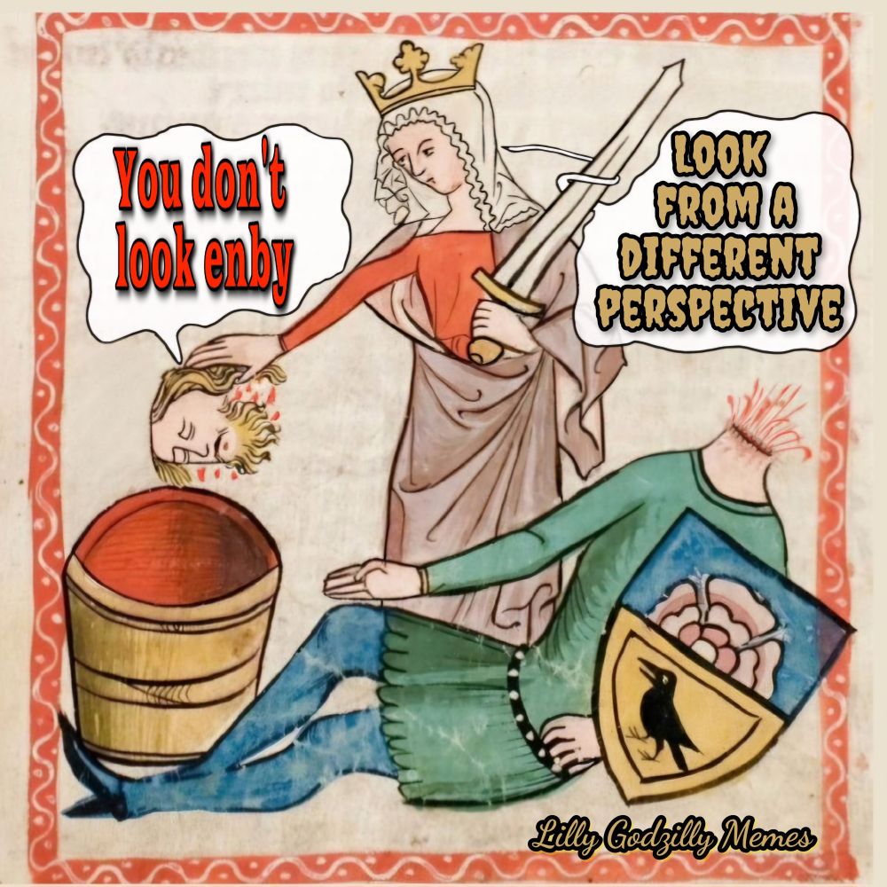 Image is a mideval drawing turned into a meme. In the center there is a person in red and tan robes, holding a sword and a head. 
They are casually tossing the head into a basket as the body lays nearby in a green tunic with blue pants, still holding a shield embossed with the image of a bird and a flower.

There's speech bubbles, one coming from the head that says, ' you dont look enby ' and the other speech bubble coming from the person with the sword that says, ' look from a different perspective ' 

The image is signed Lilly Godzilly Memes