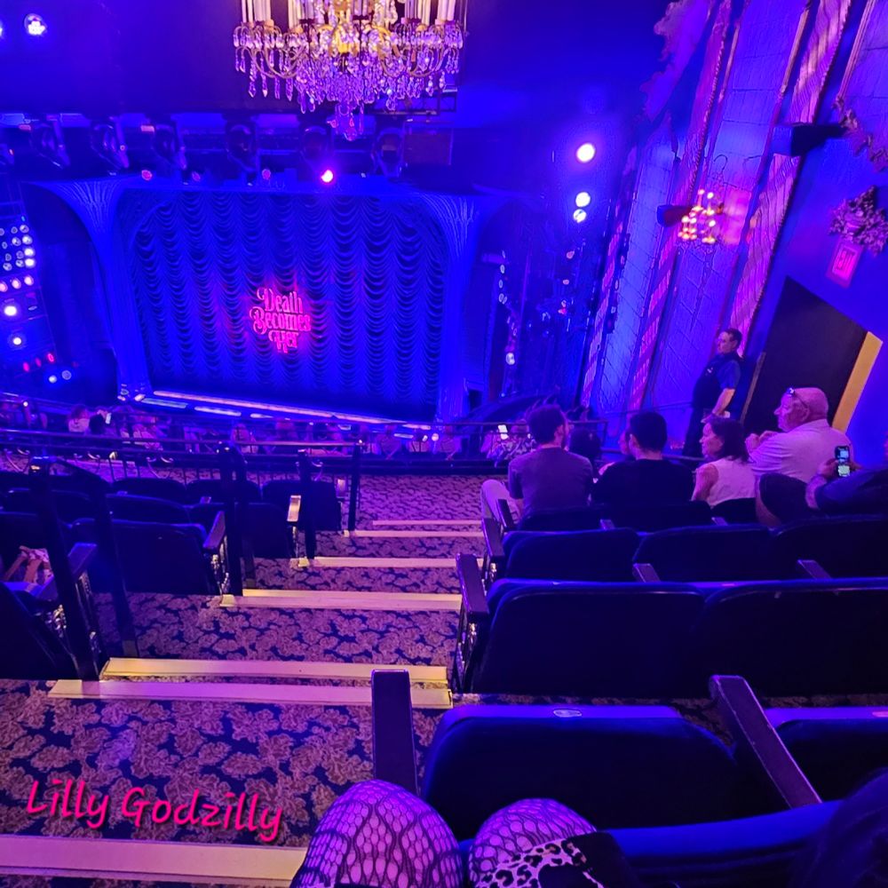 View from my seat of the stage, its a good view from the mezzanine and thers a purple hue to everything from the stage lights