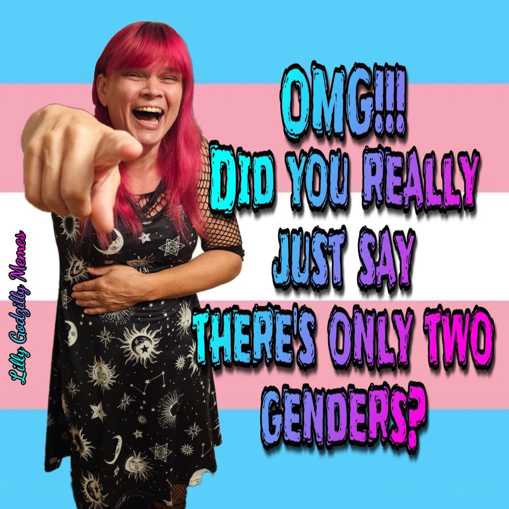 Image is of the non binary thing that is Lilly Godzilly. It has redish pink hair and is wearing a dress with sun and moon patterns on it with a fishnet top under that

There is a transpide background behind her and she is pointing and laughing at the camera 

There's text that says, 'omg!!! Did you really just say that there's only two genders? '

The image is signed Lilly Godzilly Memes