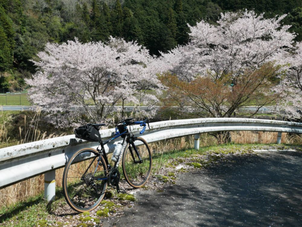 30年ぶりの宇治～信楽～和束ライド