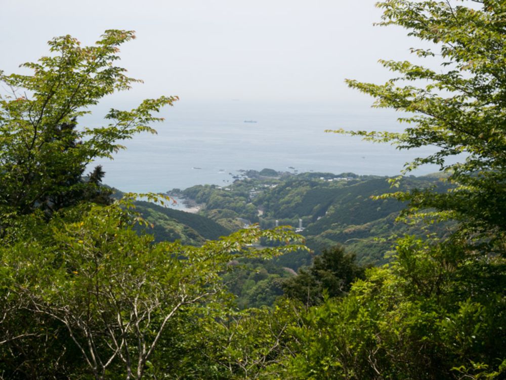 古座川から大鎌椎平林道を経て見老津へ