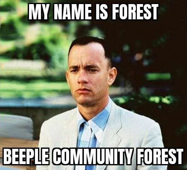 Ein Bild aus dem Film Forrest Gump mit dem Schriftzug:

My name is Forest. Beeple Community Forest.