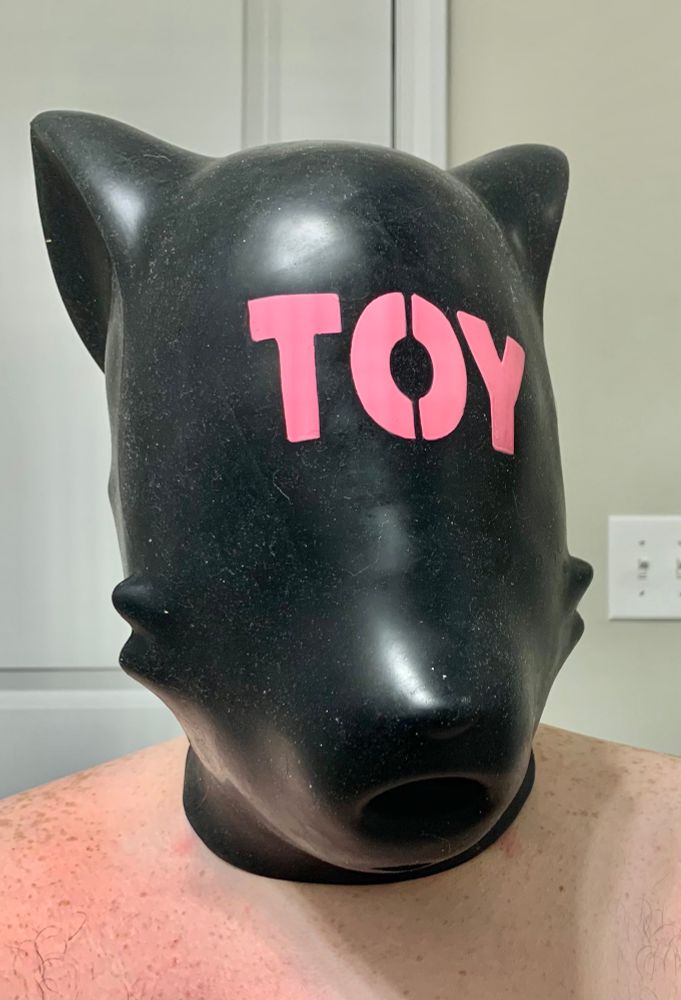 Selfie of me wearing a fetish fox-shaped blank black mask made of silicone. It has an open mouth hole and the word TOY printed in large pink letters across where the eyes would be.