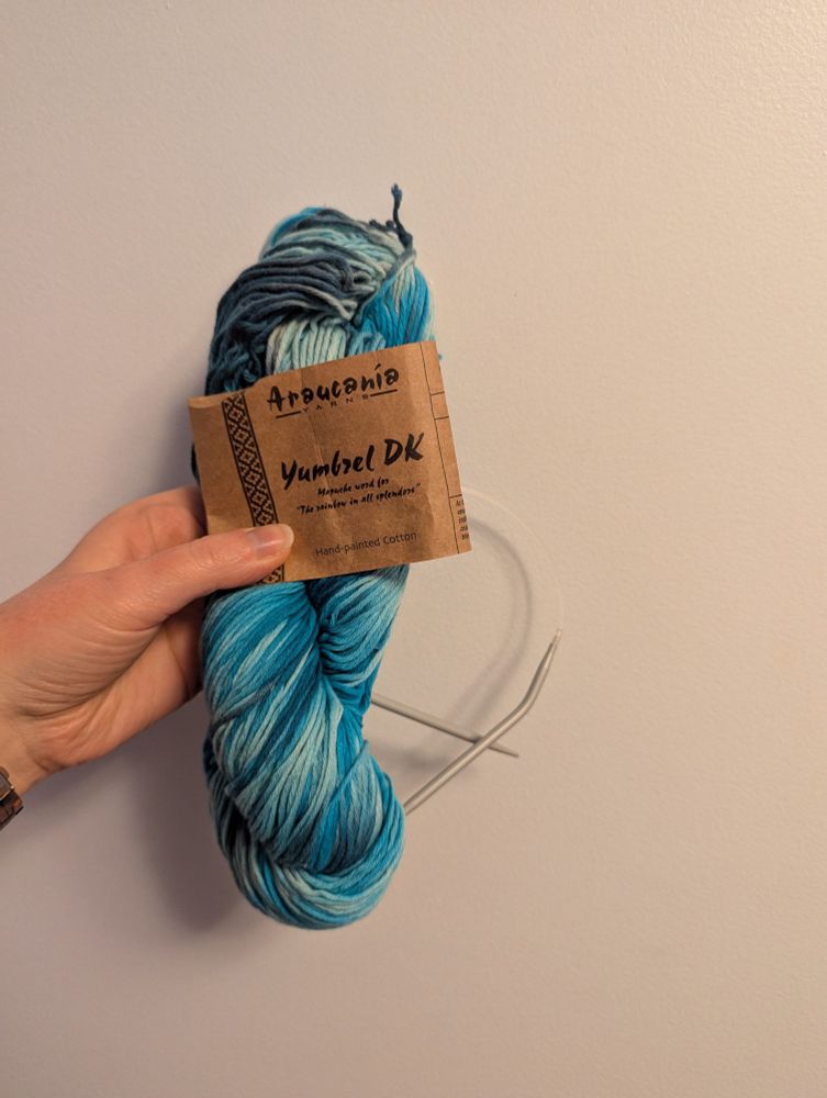 A hand holds a skein of variegated blue yarn in front of a wall. A brown paper label on the yarn reads "Araucania Yarns, Yumbrel DK. Hand-painted cotton".