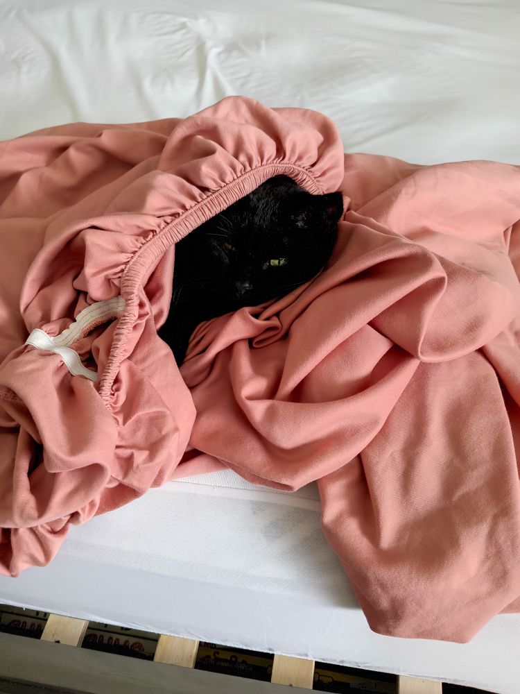 A black cat wrapped up in a pink bed sheet on top of a mattress.