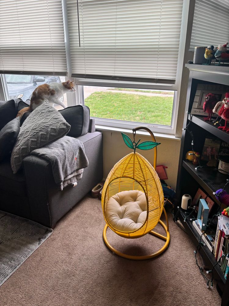 Cat bed shaped as a lemon 