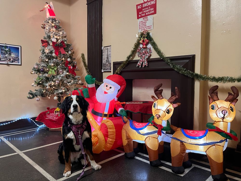 muffin with santa
