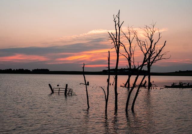 Waubay Lake in South Dakota at sunset with trees and fence protruding from the water.