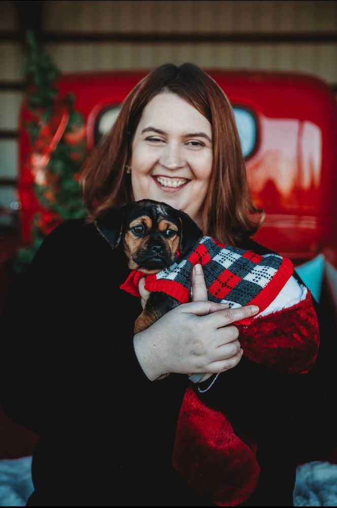 Woman holding a small brown and black dog in a Christmas sweater standing in front of an old red pickup truck. 