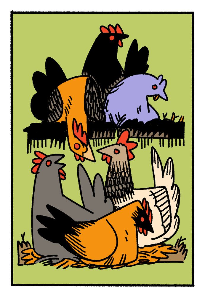 A drawing of 6 Elder Gods in the guise of 6 Elderly Chickens - Byatis, Mormo, Nug, Yeb, Gobogegg, and Vorm. Not pictured - Hurdy Gurdy 