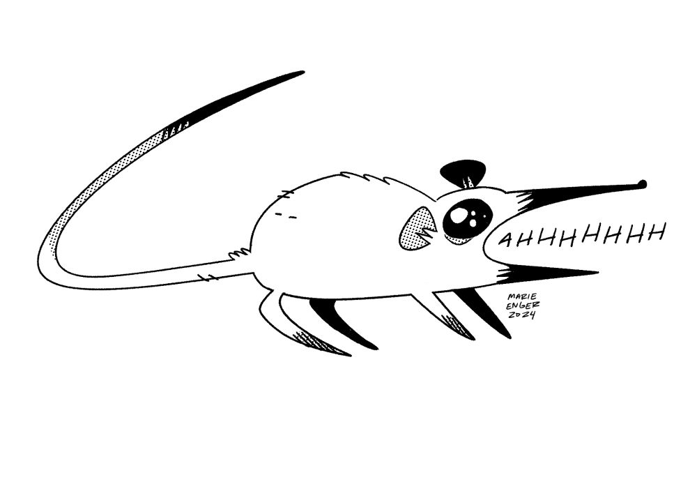 A drawing of an elephant shrew, mouth open, screaming. 