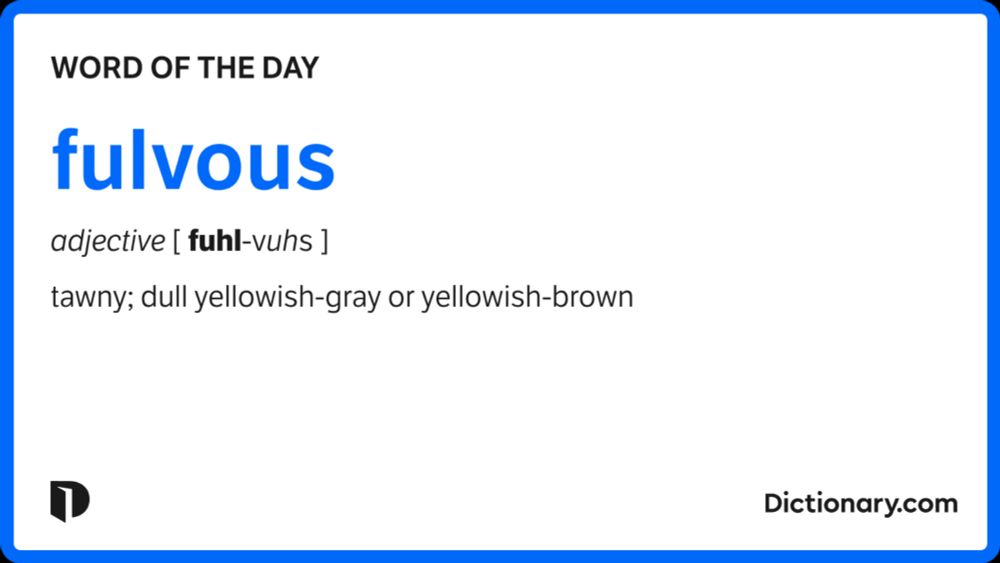 fulvous | Word of the Day | October 8, 2024