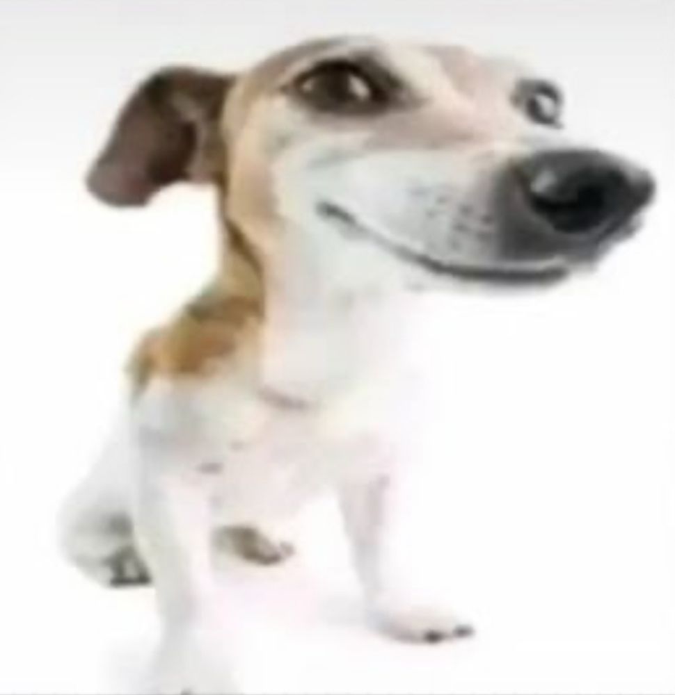Comment image
