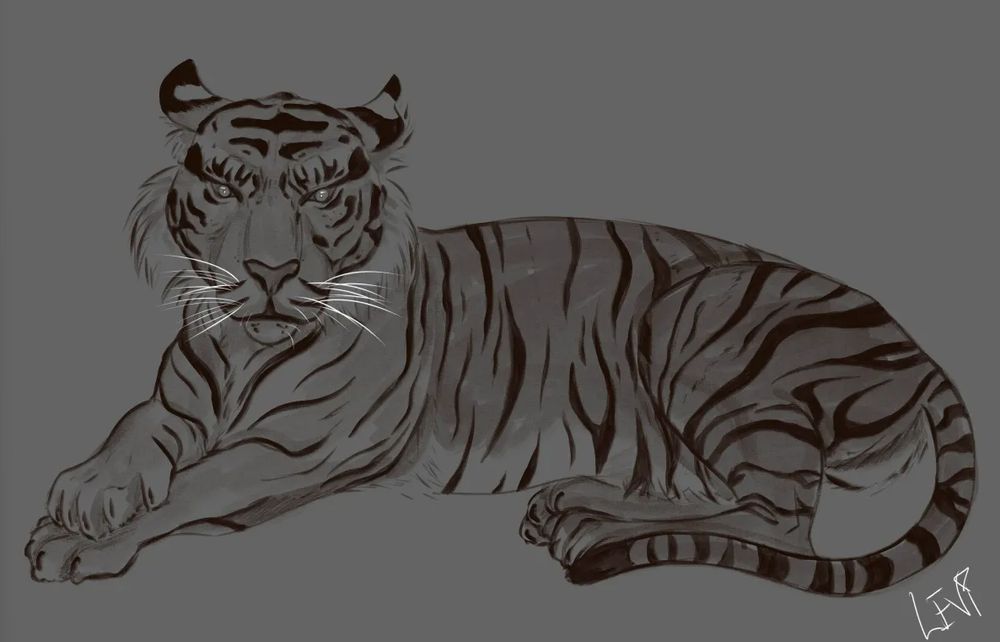 A sketch of a tiger