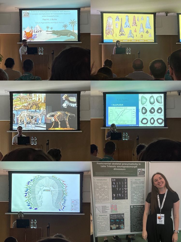 Researchers from UCL’s Vertebrate Palaeobiology Research Group presenting in their recent findings.