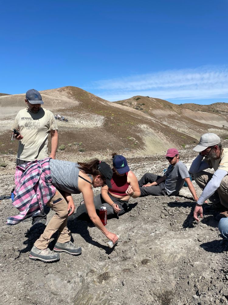 Palaeontologists retrieving the fossil from the ground