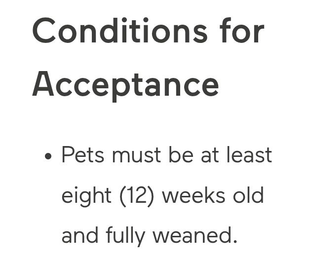Screenshot from viarail website.
"Conditions for acceptance:
- pets must be at least eight (12) weeks old and fully weaned."