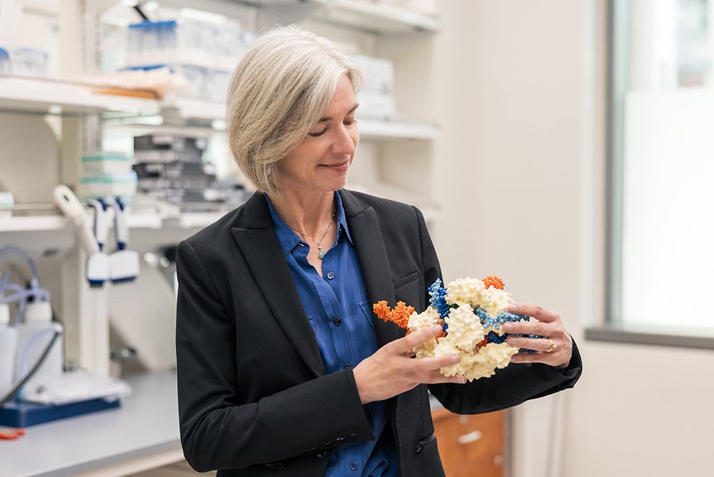 Doudna in a laboratory setting holding model of CRISPR by Glenn Ramit/Innovative Genomics Institute