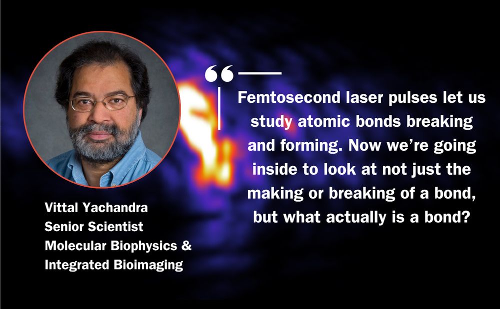 Picture of MBIB senior scientist Vittal Yachandra and his quote from the press release overlaid on a picture from the study, "Femtosecond laser pulses let us study atomic bonds breaking and forming. Now we’re going inside to look at not just the making or breaking of a bond, but what actually is a bond?