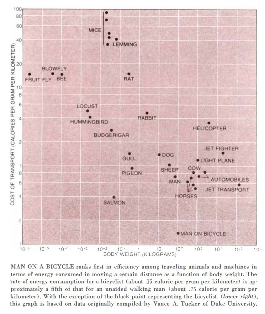 Calories per Gram per Kilometer / Bodyweight for various animals / machines. https://www.jstor.org/stable/24923004