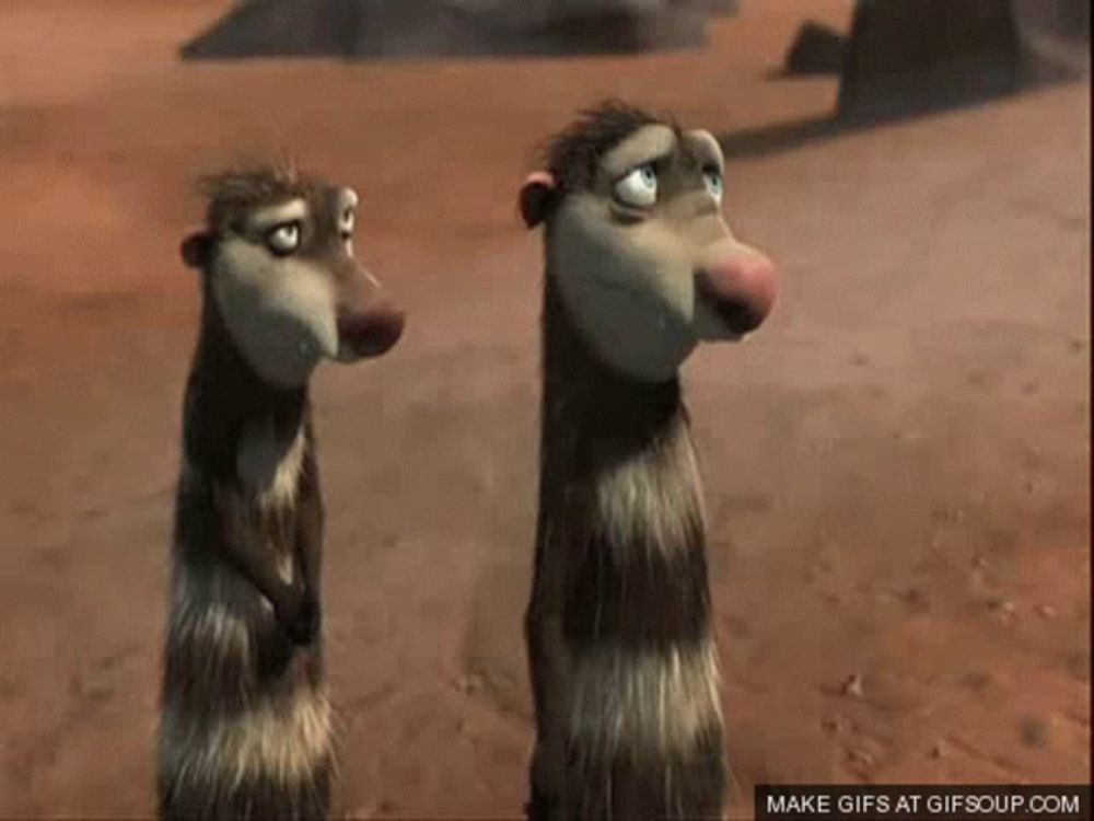 two cartoon opossums are standing next to each other in the dirt .