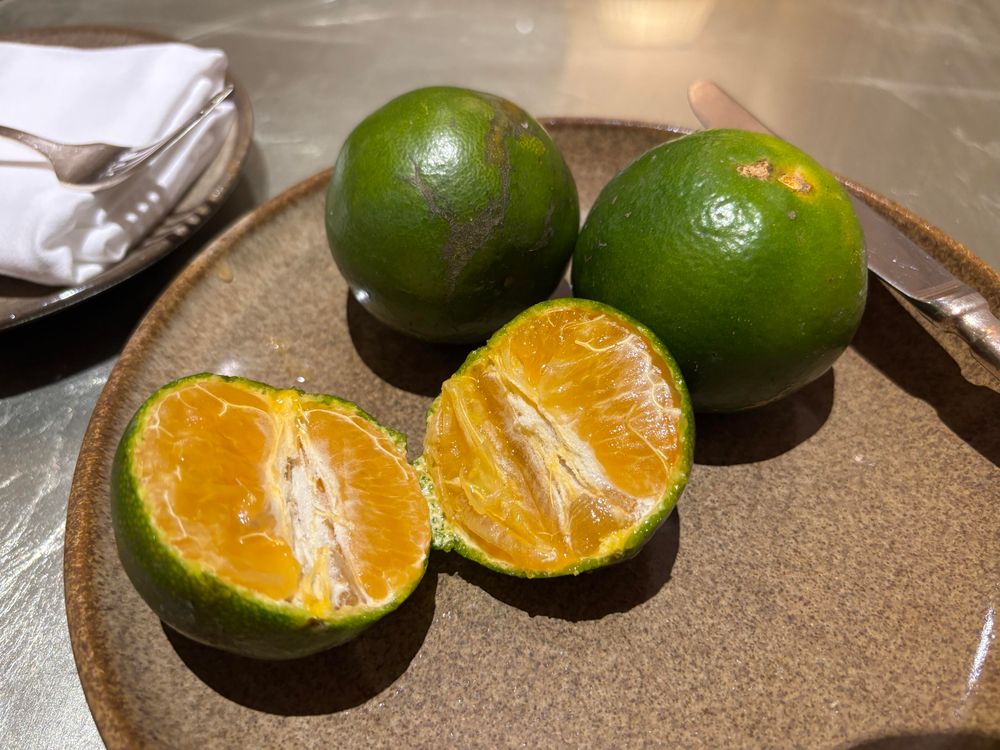 Fruit with a dark green skin and orange flesh. 