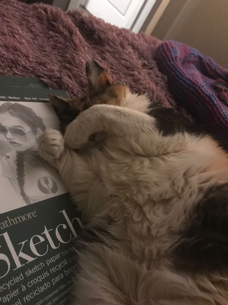 calico cat sleeping on a sketchbook, covering her face and showing her big fluffy tummy